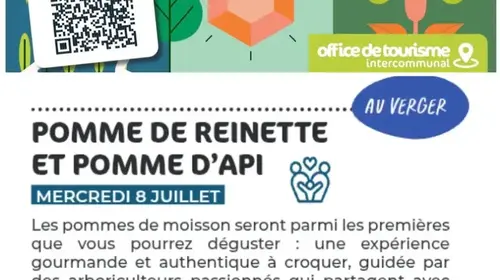 Pomme de Reinette et Pomme d'Api
